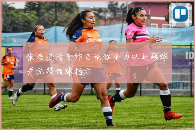 张浩澄清李帅言论称全力以赴踢球并无踢假球指示