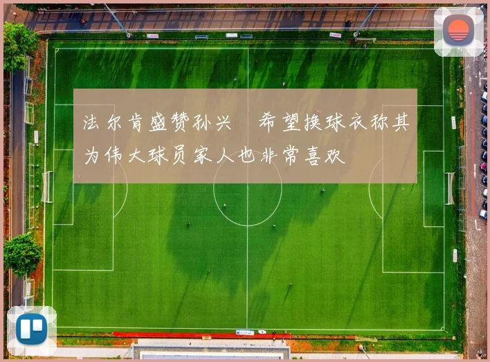 法尔肯盛赞孙兴慜希望换球衣称其为伟大球员家人也非常喜欢