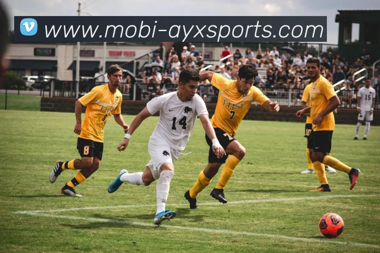 爱游戏发展历程